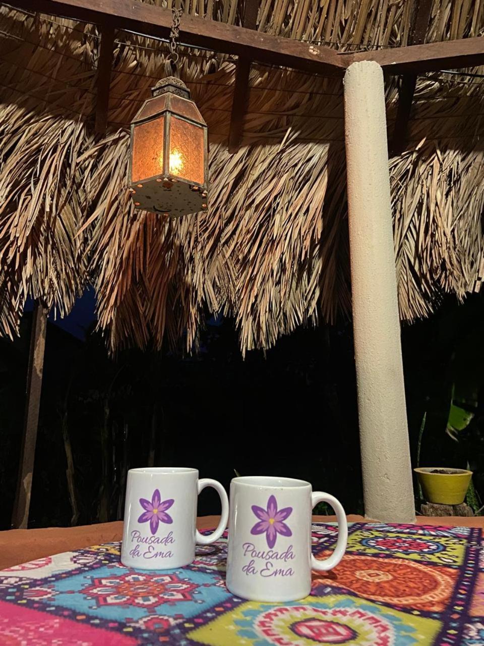Pousada Canela De Ema Mateiros 外观 照片